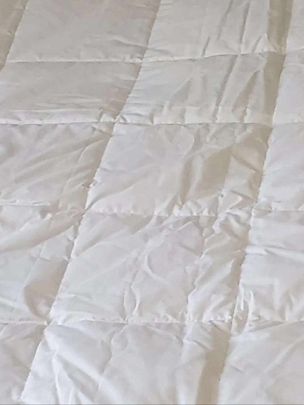 NEW Pacific Coast Feather Company King Down Comforter/Duvet Hotel-Style Bedding.